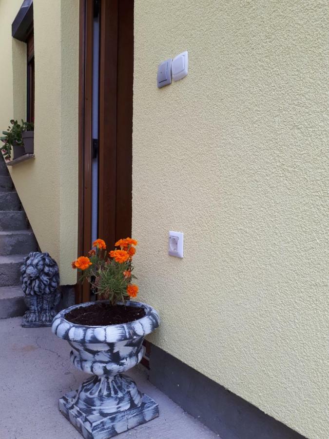 Apartment Dujica Senj  Exterior photo